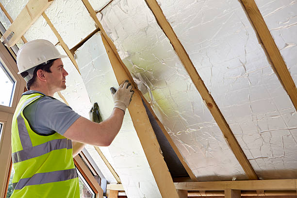 Best Eco-Friendly Insulation in Pilot Mountain, NC