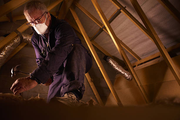Trusted Pilot Mountain, NC Insulation Contractor Experts