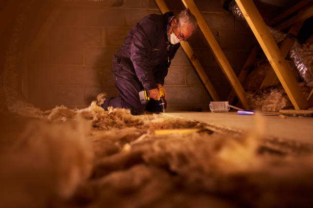 Types of Insulation We Offer in Pilot Mountain, NC
